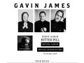 Gavin James Official Website